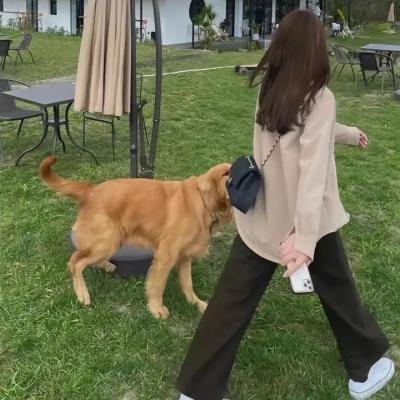 冒牌总统